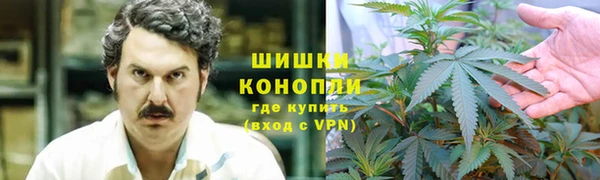 СК Михайловск