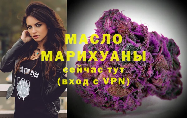сатива Инсар