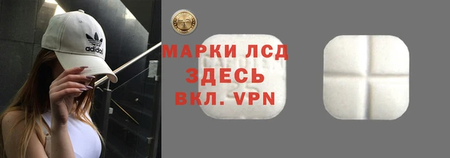 винт Кадников