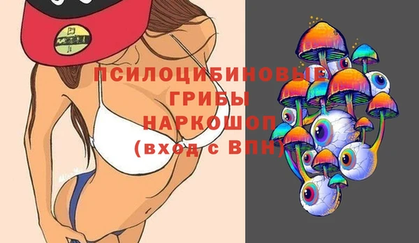 бошки Гусь-Хрустальный