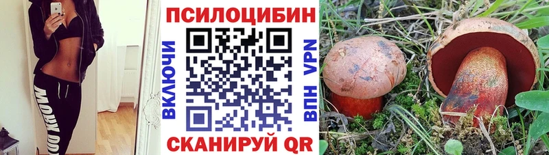 наркошоп  Кыштым  Галлюциногенные грибы Magic Shrooms 