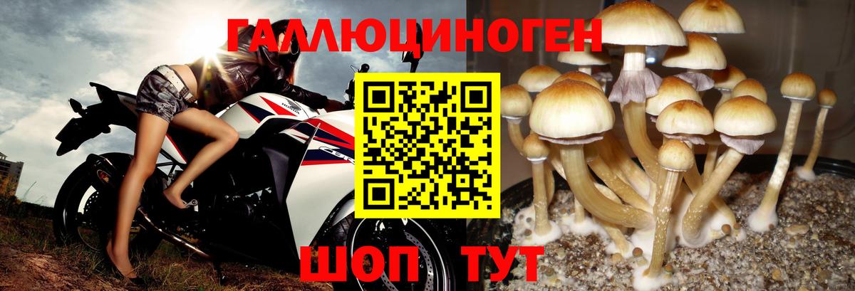 Галлюциногенные грибы ЛСД Кыштым