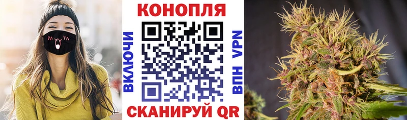 Конопля сатива  купить наркотики сайты  kraken ссылки  Кыштым 